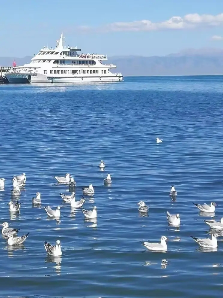 呼和浩特有名气的旅行社有哪些推荐？
