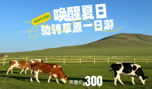 轻行草原额尔古纳1日游